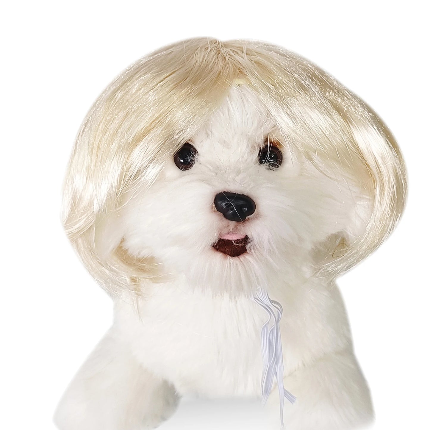 Funny Pet Cosplay Wig Short Dog Costume Wig Pet Decorations Cats Hair Hat Costumes Head Accessories Halloowen Christmas Supplies