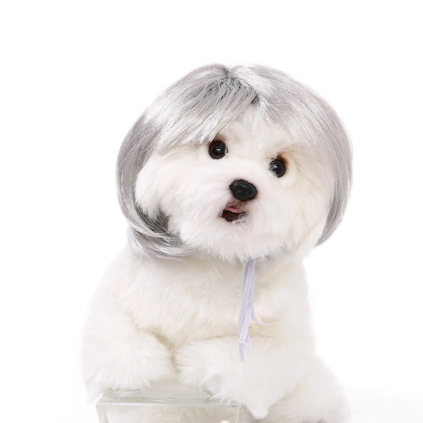 Funny Pet Cosplay Wig Short Dog Costume Wig Pet Decorations Cats Hair Hat Costumes Head Accessories Halloowen Christmas Supplies