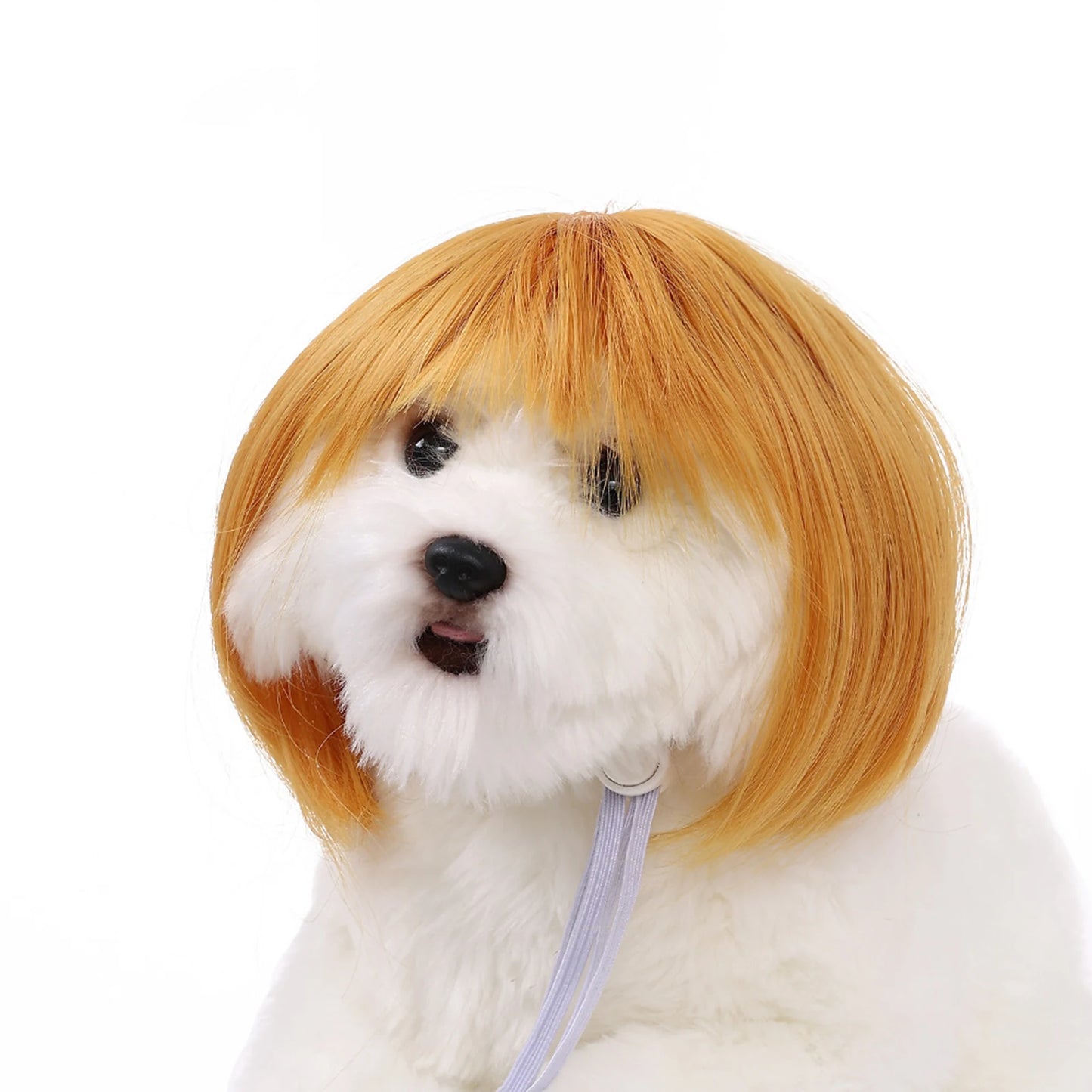 Funny Pet Cosplay Wig Short Dog Costume Wig Pet Decorations Cats Hair Hat Costumes Head Accessories Halloowen Christmas Supplies