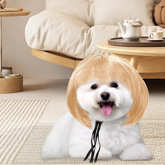 Funny Pet Cosplay Wig Short Dog Costume Wig Pet Decorations Cats Hair Hat Costumes Head Accessories Halloowen Christmas Supplies