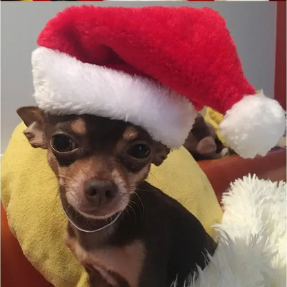1-20PCS Christmas Pet Hat Small Dog Santa Costume Cosplay Outfit Festive Pet Clothes New Year Holiday Party Decoration Supplies