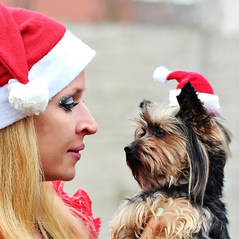 1-20PCS Christmas Pet Hat Small Dog Santa Costume Cosplay Outfit Festive Pet Clothes New Year Holiday Party Decoration Supplies