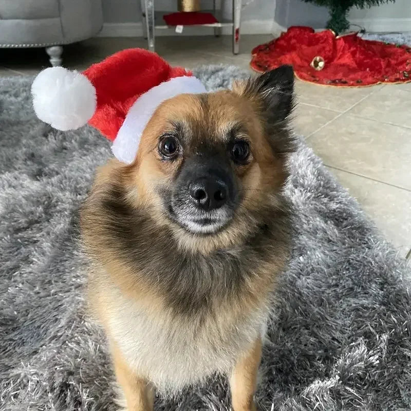 1-20PCS Christmas Pet Hat Small Dog Santa Costume Cosplay Outfit Festive Pet Clothes New Year Holiday Party Decoration Supplies