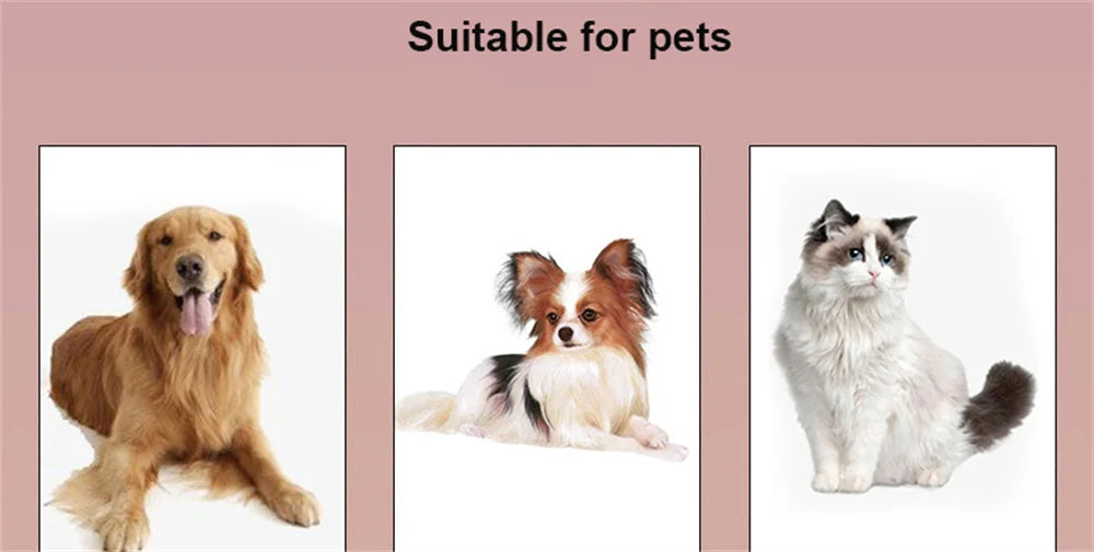 1pc Pet Cat Dog Car Seat Belt Suitable for Universal Safety Buckle Adjustable Safety Rope Dog Car Seat Belts Dog Accessoires