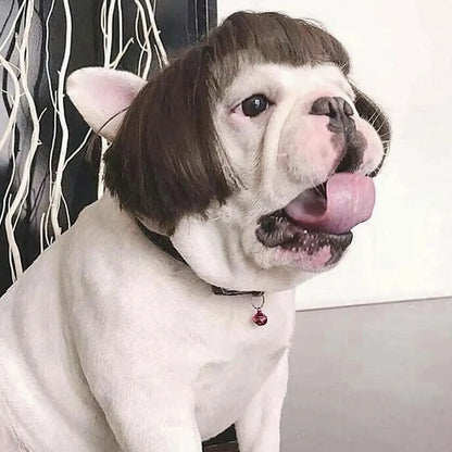 Funny Pet Cosplay Wig Short Dog Costume Wig Pet Decorations Cats Hair Hat Costumes Head Accessories Halloowen Christmas Supplies